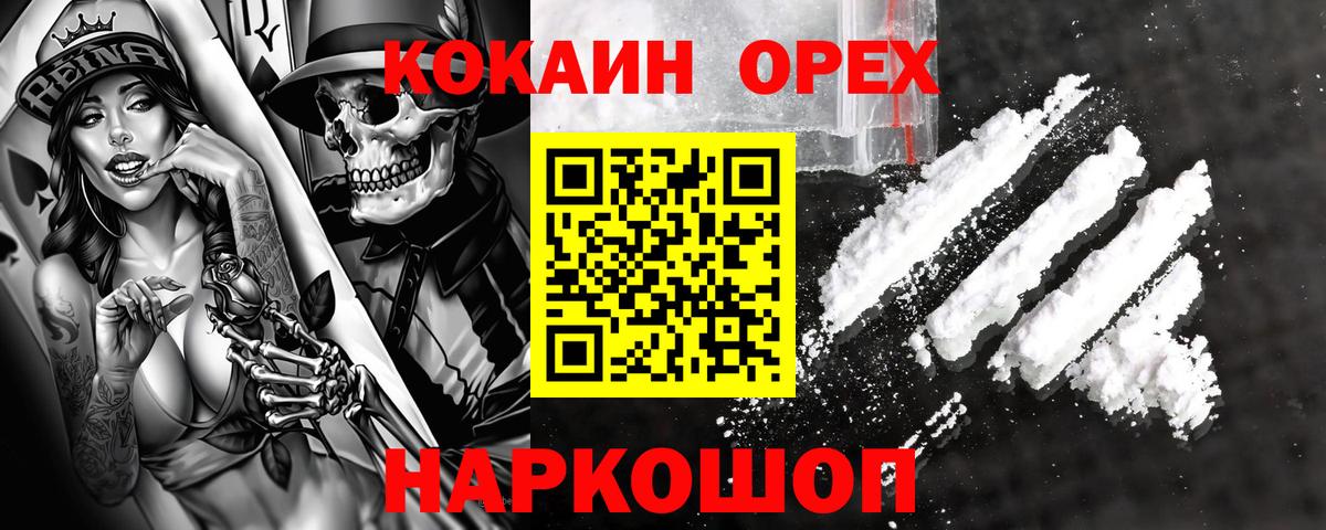 Галлюциногенные грибы Саранск