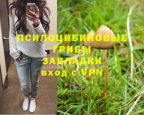 первитин Медногорск