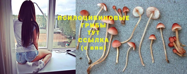 первитин Медногорск