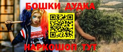 дмт Дубна