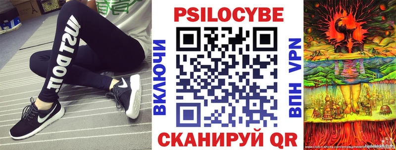 Псилоцибиновые грибы Psilocybe  купить   Саранск 