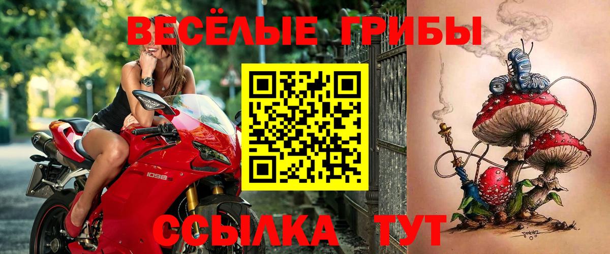 Псилоцибиновые грибы GOLDEN TEACHER Саранск