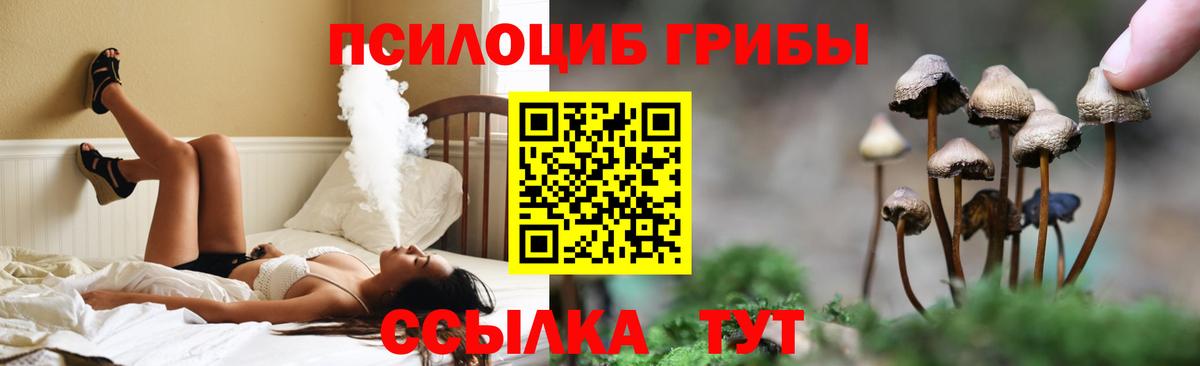 Псилоцибиновые грибы Cubensis  Вход с VPN  Галлюциногенные грибы ЛСД  Саранск 